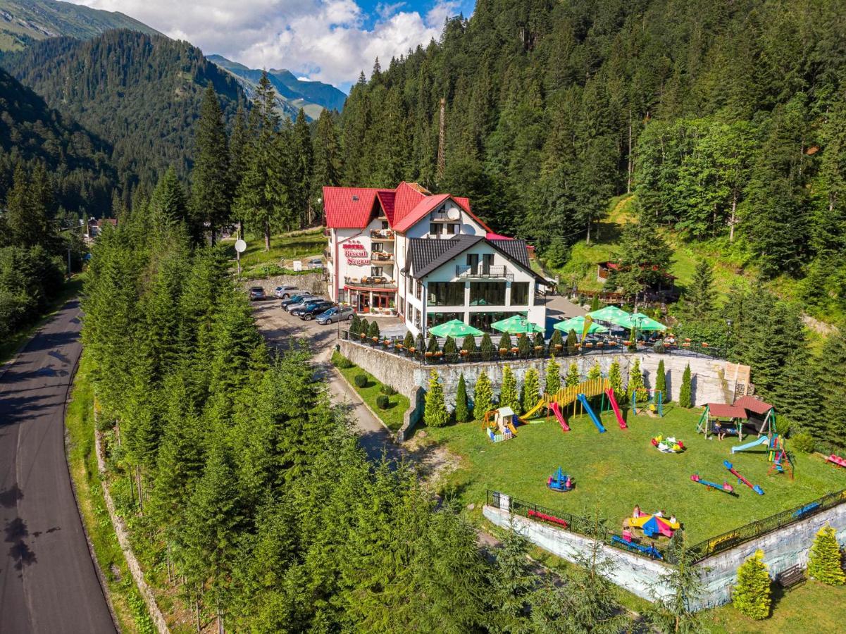 Cumpăna 特拉斯吉拉斯皮斯科内格鲁旅馆酒店 外观 照片